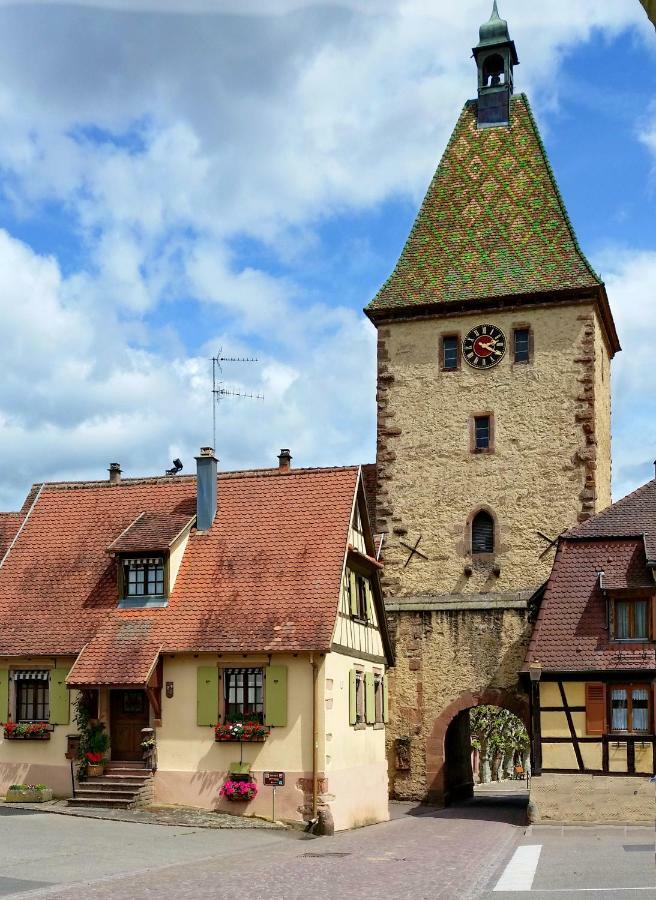 Gite La Maison Bleue Bergheim Esterno foto
